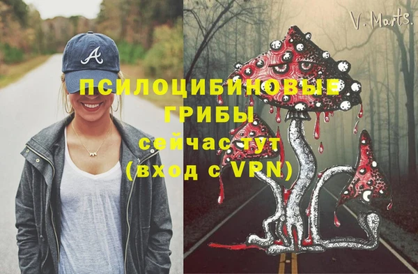 не бодяженный Няндома