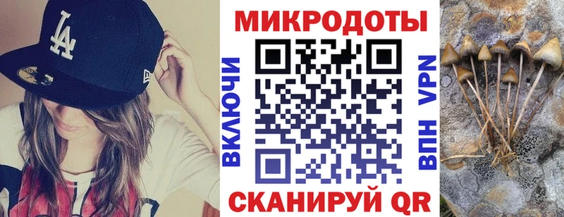 Псилоцибиновые грибы MAGIC MUSHROOMS  где можно купить   Кировск 