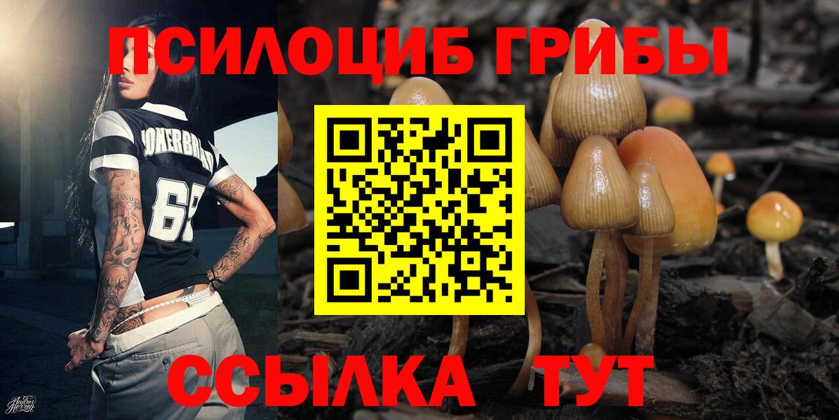 Меф Кировск