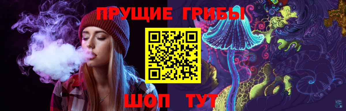 Псилоцибиновые грибы Psilocybe  Вход с VPN  Кировск  купить наркоту  Псилоцибиновые грибы Cubensis 