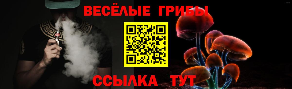 Псилоцибиновые грибы Magic Shrooms Кировск