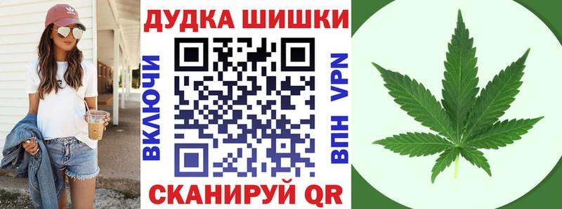 наркота Кировск Каннабис ГИДРОПОН